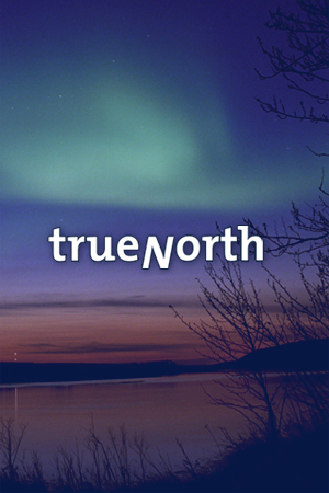 <b>TrueNorth Marketing, Inc.<b> Featured Graphic